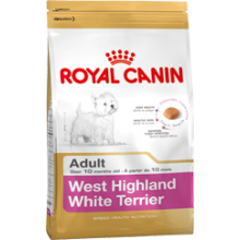 WEST HIGHLAND WHITE TERRIER ADULT